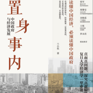 D1-11 《置身事内》-这些经济决策原来是这样来的