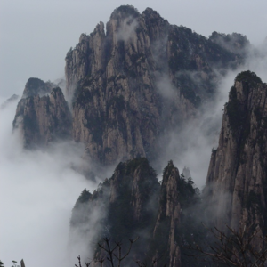 讲座|如何观看“自然”：禅的视角