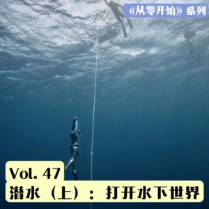 Vol.47 从零开始的自由潜入坑指南（上）：学会潜水就获得了水下世界的通行证
