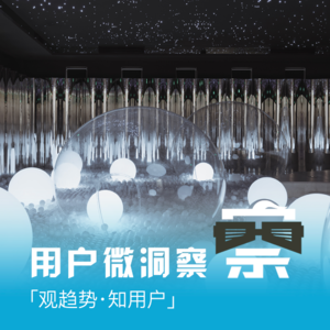 【用户微洞察】Vol.013 地产破局利器：以用户为中心的氛围体验