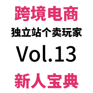 Vol13.如何添加图片版可折叠尺码表？99个跨境电商Shopify建站技巧（1）