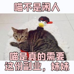 躺平时间 | 22:58,我用我残存的责任心打开了word文档