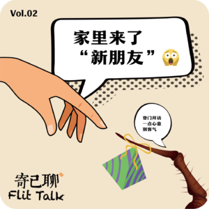 Vol.2 家里来了新朋友，是时候找个新家了
