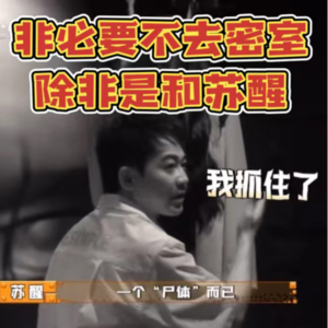 Vol.13【callback 0713】非必要不去密室，除非是和苏醒