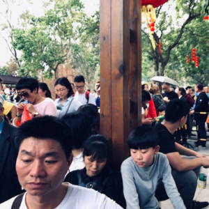 寥聊 「LL」—— 乙亥春节