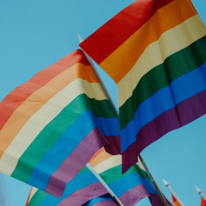 彩虹之声-LGBTG公益社群的曲折前行