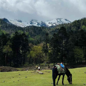 98. 当我攀登雪山时，我在思考什么？我们的哈巴雪山之旅