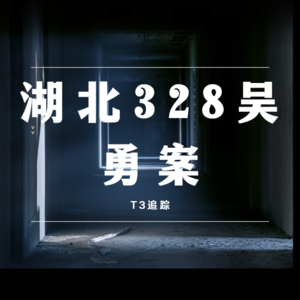 25.我叫你爸，你带我行凶，这对么？湖北328吴勇案