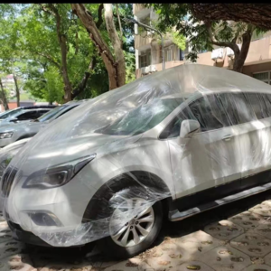 Vol.21 聊聊观察：在生活的空隙让感官透透气