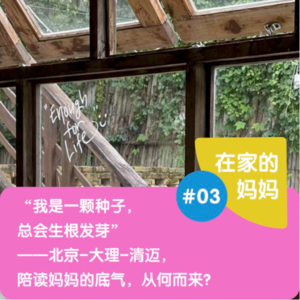 “我是一颗种子,总会生根发芽”——北京-大理-清迈,陪读妈妈的底气从何而来?