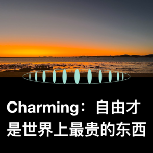 VOL.40 数字游民Charming：逃离大厂后，靠自己赚钱也太快乐了