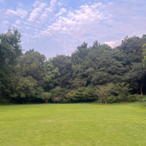 05.玄学让我们走上真正的「人生之路」