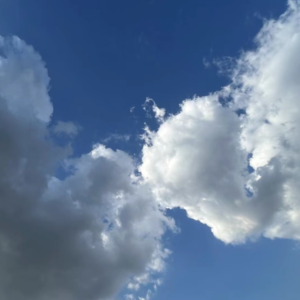 当我在工作中变得油腻，我该快乐还是悲伤？