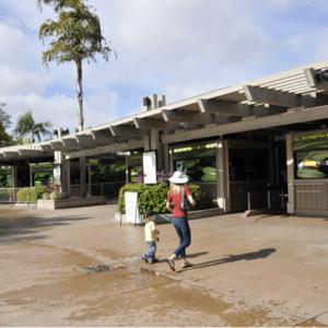 045 动物园景观 美国加州圣地亚哥动物园