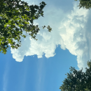 vol.07 好好教师你不当跑来当柜姐，你咋想的？