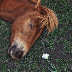 vol.8 跌跌撞撞飘飘摇摇慌慌张张专用歌单*Mixtape