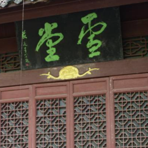 Vol.10 困顿中打开苏东坡 | 野蛮生长只是做梦？