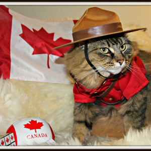 加拿大独一无二的“党制”