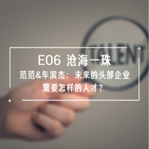 S1E06 沧海一珠 | 范范&车滨杰:未来的头部企业需要怎样的人才?