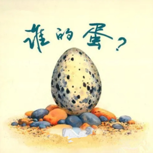 谁的蛋