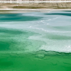 千万别用它发誓哦