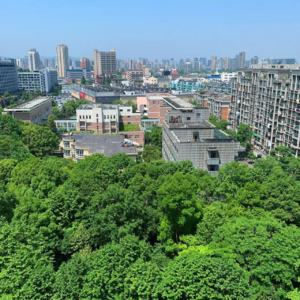 假期,想要收获万物的可爱