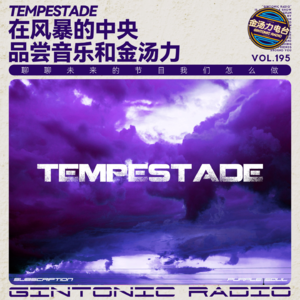 聊聊音乐版权和内容创作以及与平台未来的关系/金汤力电台正在风暴的中央