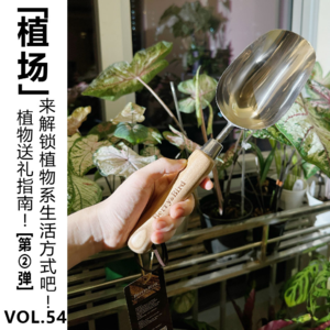 Vol.54 植物送礼指南！来解锁植物系生活方式吧！