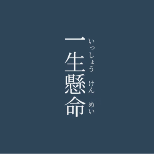 05 | 自由职业的结果是财务自由,过程是全年无休