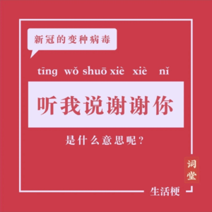 19.小心！不要被“梗”玩了！