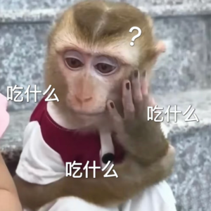 ep28. 拿过菜单一个字儿不认识，比划半天狂点五首歌！