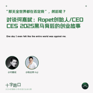 CES 2025 中国黑马，一次聊透创业心法 | 对谈何嘉斌：AI 萌宠机器人 Ropet 创始人/CEO