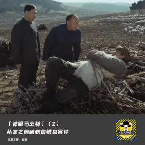 【国内神探马玉林】（2）秉公办事：一次让领导难堪的破案