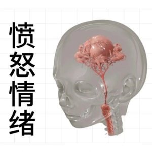 干货｜如何控制愤怒情绪？