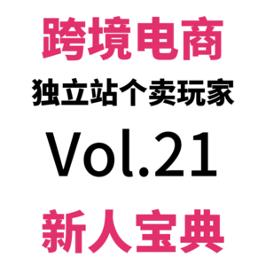 Vol21.提升转化！全网最新Shopify Discounts食用指南，学会多种打折组合