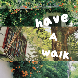 步履不停·苏州|姑苏巷口夕阳斜