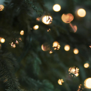 Vol 9 | 致不知道怎么开始就已经结束了的，2022