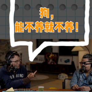 vol.01_狗，能不养就不养！