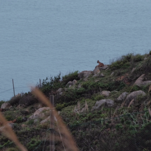 Episode 56：有关越界丨生活副刊