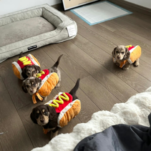 NO.6 没有地图 所有的答案终会在春天交还给我