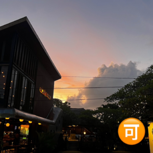 魔法学校开张！巴厘岛神秘学体验摆摊啦🪄