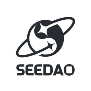 Vol.40 SeeDAO白皮书发布一周年回顾&反思（下）