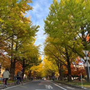 北海道印象——留学那些事儿