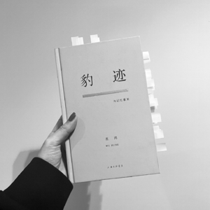 时代巨浪下，如何守护内心的“葡萄藤”｜阅读巫鸿《豹迹》