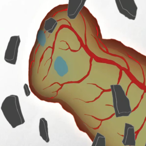 潜入动画与音乐的世界，与他们共同swing