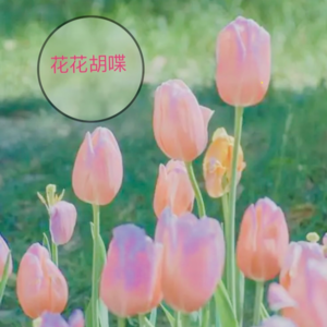 毕业一年,你过得还好吗?