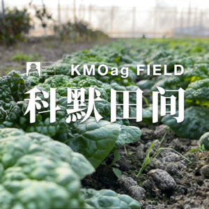 科默田间 | 有机就等于贵?有社保的新农民是做梦吗?