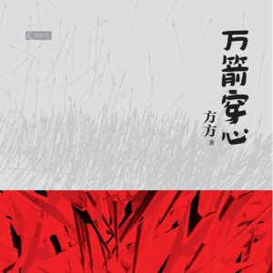 #4春节精读《万箭穿心》：小说版的窒息远比电影版的窒息更窒息