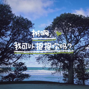 73 树啊,我可以抱抱你吗?