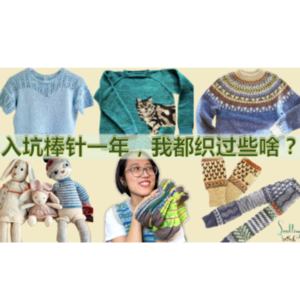 Ep1. 入坑棒针一年,盘点我织过的所有东西:玩偶、手套、围巾、帽子、袜子、包包、毛衣【小禾唠编织】